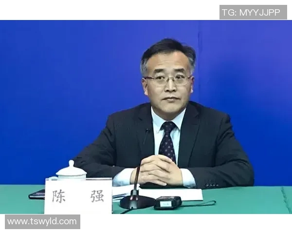 深度对话:探索陈强在网球世界中的奋斗与成长历程